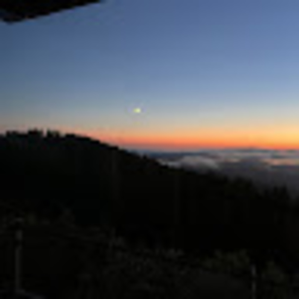 Meet your Posher, Kylin